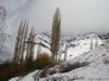 Morteza_Saberi_Aban93 (9)_resize.JPG 